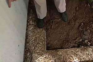 Family Discovers Plumber Never Connected Sewer