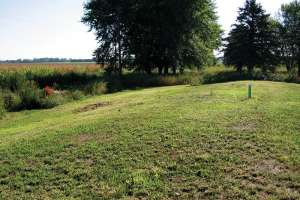 Take Cover! What Vegetative Bed Do I Need?