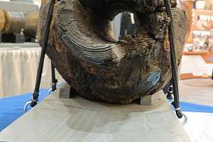 Sewer History Exhibit Coming to WWETT Show