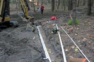 Keeping the Forest and the Trees