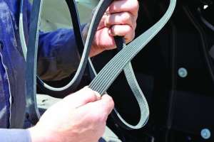 Larry Holding Epdm Belt Large