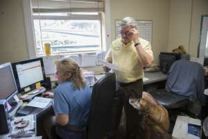 Lezliesterling wallner 18 200709 131116