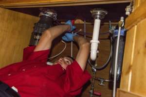 Mrrootermichigan 38 181126 101621