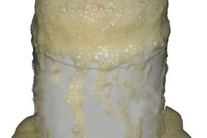 Focus: Drain Cleaning – Root and Grease Control