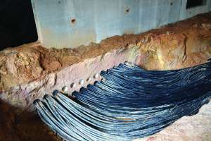 Omegaflex case study