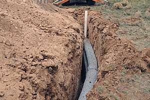 Watered with Knowledge