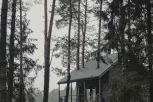 Pexels gantas 10364295