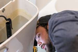 A Twisted Path Leads to the Start of a One-Stop Shop