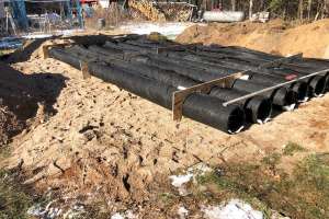 Presby environmental case study