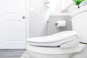 Product spotlight fluidmaster soft spa 9500 bidet