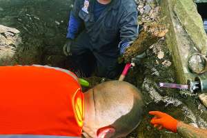 Chicago’s Rescue Plumbing Makes a Mark by Providing 24/7 Emergency Services
