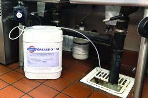 Rootx grease x gt