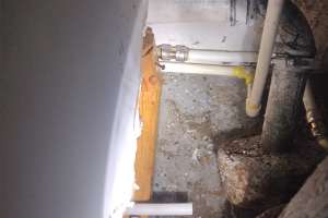 Sharkbite case study 241120 085912