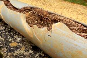 Shutterstock 498690265