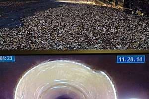 Source One Environmental Case Study