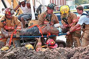Trench Cave In 3Color Large