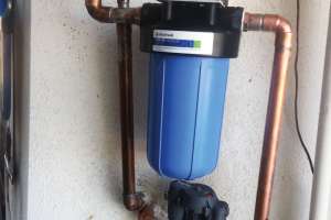 Triple plus case study